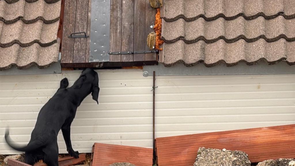 Trening na ruševini Pordenone&nbsp;(Italija)