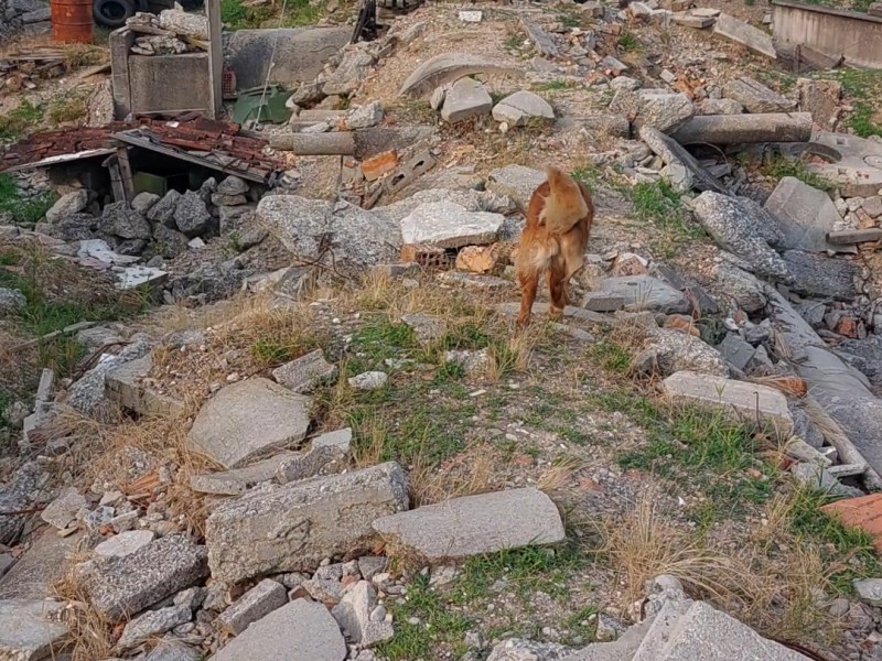 Trening na ruševini Camalo – Treviso&nbsp;(Italija)