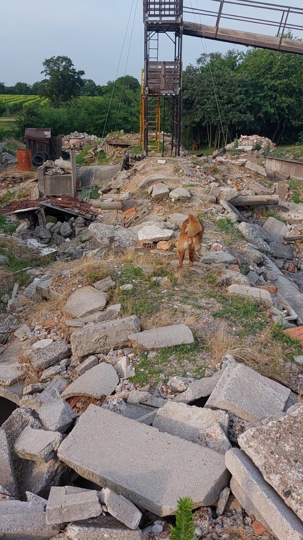 Trening na ruševini Camalo – Treviso&nbsp;(Italija)